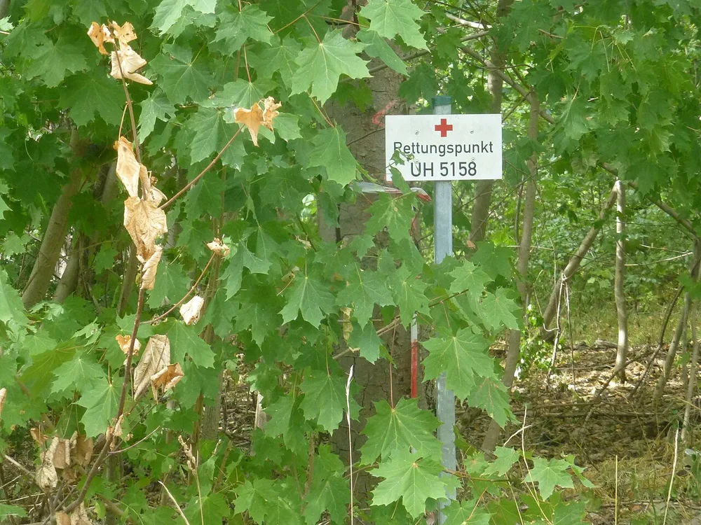 Ein Schild Rettungspunkt mit Nummer an einem Pfosten im Wald